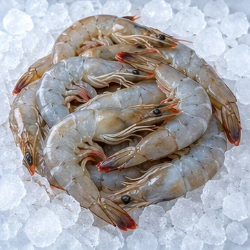 蝦類
